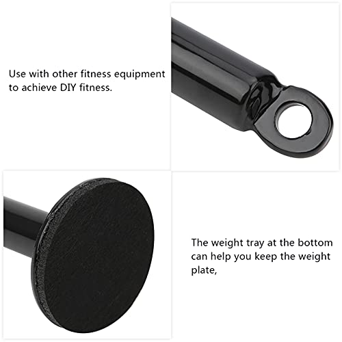 GOTOTOP Loading Pin, Stainless Steel Weight Plate Holder for Grip Training, 20mm or 48mm Tube, Bottom Support Frame, Forearm Finger Arm Workout for Home Gym Users - size: 20 diameter*220mm