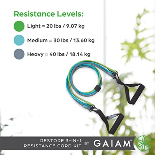 Gaiam 3-in-1 Resistance Band Kit with Comfort-Grip Handles and Interchangeable Strength Bands for High Intensity Training - size: 1 EA