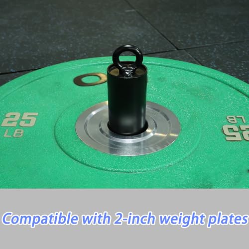 J Bryant Fitness 2 inch Loading Pin LAT Pulley System Pulley Cable Machine Attachment Garage Gym Home Gym Workout Equipments Cable Machine DIY Attachment Fit 2 inch Olympic Weight Plate