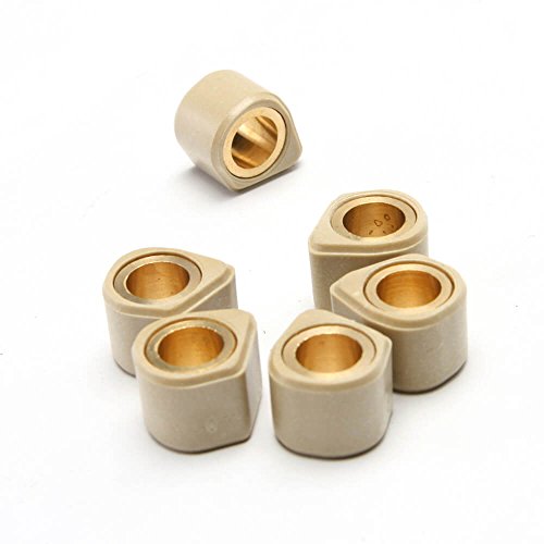 Dr. Pulley 18x14 Sliding Roller Weights 10 Gram
