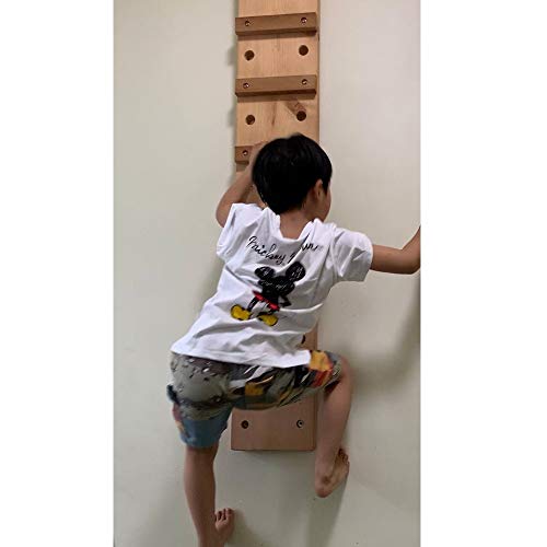 CKIDS Rock Climbing Training Peg Board Wall Mounted Birch Pegboard, Fingerboard for Gymnastic Rock Climbing Ninja, 47 inches x 11 inches
