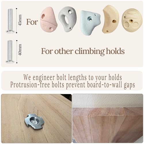 Premium Resin Rock Climbing Holds for All Ages, Large Training Rock Climbing Wall Grips Indoor/Outdoor, Rock-Like Texture Climbing Wall with Mounting Hardware - color: 20 Pcs