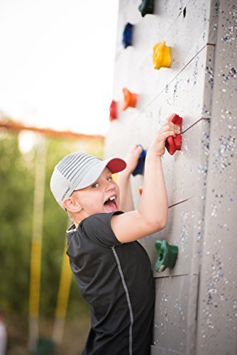 Squirrel Products Bag of 100 2" Rock Climbing - Rock Hold Bolts