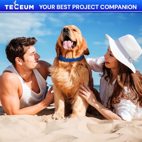 TECEUM 3/4" Nylon Strap Kit with Buckles, Cream 6 yards Repair Set | Heavy duty hardware kit: 6yd webbing, 6 quick release buckles, 12 tri-glide slide clips, 6 metal D-rings for crafting. - color: Cream, size: 3/4" - 6 yards, style: 6 Buckle - 12 Slides -