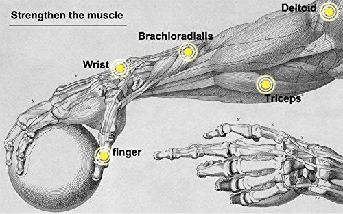 Power Wrist Ball AUTO Start Gyro Ball with LED Lights Forearm Exerciser Wrist Strengthener for Strengthening Muscle and Bones - color: Blue(Without light)