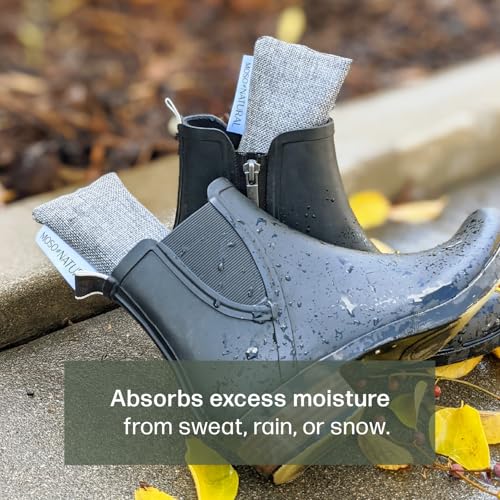 Moso Natural Shoe Deodorizer Inserts (2 Pack) Charcoal Odor Absorber for Shoes, Gym Bag & Boot Deodorizer, Unscented Shoe Odor Elimination, Air Purifying Bags, Lasts 2 Years (4 Bags) - style: 2 Pack (4 Total)