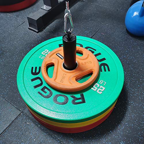 J Bryant Fitness 2 inch Loading Pin LAT Pulley System Pulley Cable Machine Attachment Garage Gym Home Gym Workout Equipments Cable Machine DIY Attachment Fit 2 inch Olympic Weight Plate