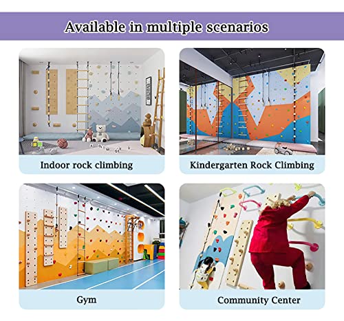 5 Pcs Resin Rock Climbing Holds with Screws, Inside Outside Climbing Hold Kit for Kids Beginners, Home Playground Obstacle Course Training Wall(Size:5pcs-Solid Wall Installation) - size: 5pcs-Solid wall installation
