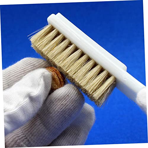 2Pcs Bouldering Brush Sturdy Handle and Coarse Boar Hair Bristles for Rock Climbing and Chalk Cleaning Sturdy Stone Cleaning Tool for Climbing Sports