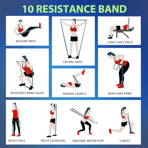 LEEKEY Pull Up Assistance Bands,5-125LB Resistance Bands with Grip、Door Anchor、Gym Bag - Exercise Bands for Full-Body Training, Fitness, Physical Therapy -USA Original Patent - style: 5-125LBS BLUE