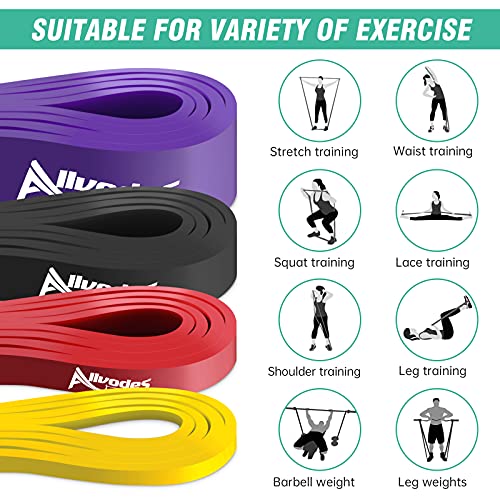 Pull up Bands, Pull Up Assistance Bands, Resistance Bands Set, Exercise Bands, Workout for Resistance Training, Physical Therapy, Home Workouts Bands