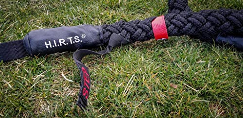 Suples H.I.R.T.S Climber - Resistance Bands - Rope Climbing Fitness Training - Home or Gym Workout - style: 4 Band