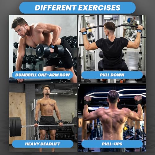 Musa Trader 2-in-1 Weightlifting Hooks & Wrist Straps for Men Women | Heavy Duty Lifting Hooks with Wrist Support | Deadlift Straps Gym Grip | Neoprene Padded | Supports 250 lbs