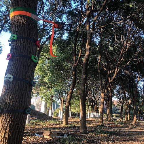 16pcs Tree Climbing Rocks Holds for Kids, 6 Ratchet Straps | 350lb, Non-Slip, Outdoor Obstacle Course Training Adventure Play, Ninja Accessories, Easy Install Hardware CPSC Approval - size: Rock Climbing