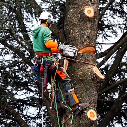 Tree Climbing Gear - Tree Climbing Spikes,for Hunting, Fruit Picking,Climbers of tree climbing equipment - color: Tree Climbing Gear Set 009