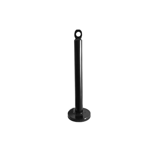 hejhncii Weight Plate Loading Pin, Steel Weight Lifting Holder Stand Dumbbell Rack Pulley Cable Machine Pull Down Attachments Freeweight Rod Loading Pin - color: 20 diameter x 220 mm