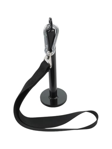 Arm Training Strap Wrist and Forearm Strength, 13.8 in Length Nylon and Metal Weight Loading Belt with Carabiner Biceps and Upper Body Workout