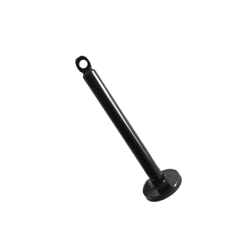 hejhncii Weight Plate Loading Pin, Steel Weight Lifting Holder Stand Dumbbell Rack Pulley Cable Machine Pull Down Attachments Freeweight Rod Loading Pin - color: 20 diameter x 220 mm