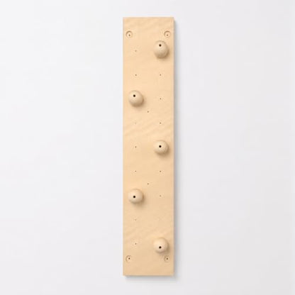 Kids Climbing Wall Panel, Wood Swedish Ladder Climbing Wall Panel 1.22m × 2.44m, Indoor Home Use Bouldering Wall for Physical Training, Grip Sphere Board