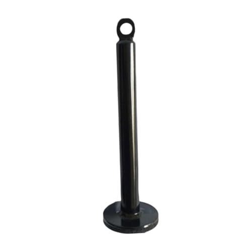 Weight Loading Pin Weight Plate Loading Pin Gym Equipment Weights Lifting Pin Heavy Duty Metal Construction Suitable for Strength Training Cable Pulle - size: 2cm Dia 22cm Length