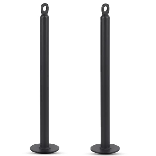2 PCS Weight Loading Pin, Heavy Duty Gym Loading Pin Stainless Steel Fitness Equipment Weight Barbell Support Frame for Muscle Strength Training - size: 20 diameter * 320 mm