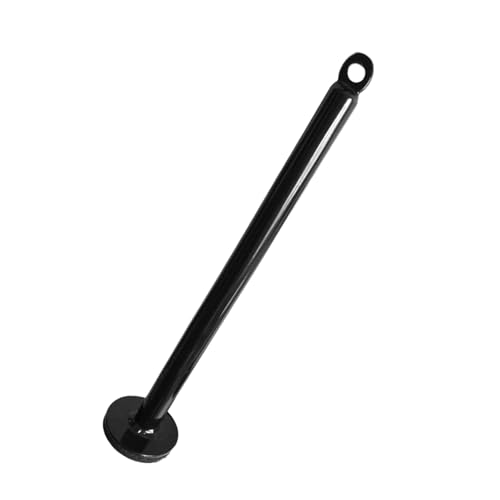 hejhncii Weight Plate Loading Pin, Steel Weight Lifting Holder Stand Dumbbell Rack Pulley Cable Machine Pull Down Attachments Freeweight Rod Loading Pin - color: 20 diameter x 320 mm