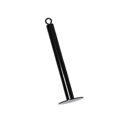 Steel Fixed Bracket Loading Pin with Heavy Duty Carabiner, Gym Fitness Barbell Weight Plate Barbell Plate Weight Tray Freeweight Rod Loading Pin - size: X-Large