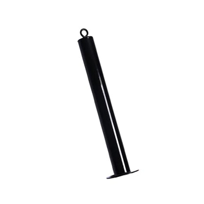 Steel Fixed Bracket Loading Pin with Heavy Duty Carabiner, Gym Fitness Barbell Weight Plate Barbell Plate Weight Tray Freeweight Rod Loading Pin - size: XX-Large