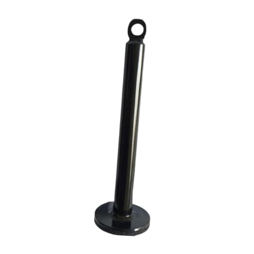 predolo Weight Loading Pin Pulley Attachment for Strength Training, Home for Power Bar Workouts, 2cm Dia 22cm Length