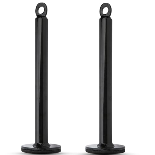 2 PCS Weight Loading Pin, Heavy Duty Gym Loading Pin Stainless Steel Fitness Equipment Weight Barbell Support Frame for Muscle Strength Training - size: 20 diameter * 220 mm