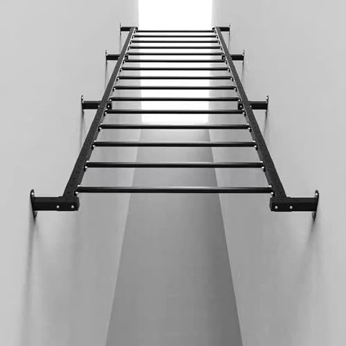Wall Mounted Pull Up Chin Up Bar, Hallway Aisle Climbing Ladder Indoor Wall Climbing Frame Pull-ups Physical Training Fitness Equipment(Horizontal Installation) - size: Horizontal installation