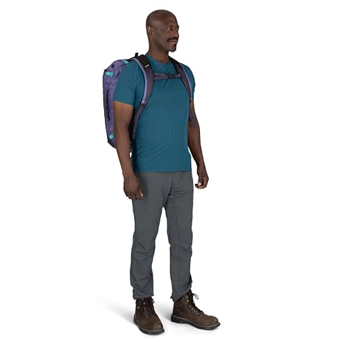 Osprey Transporter Lightweight Travel Duffel Bag - Extra Large Water Resistant Durable Gear Bag for Men and Women - color: Pine Leaf/Earl Grey, style: 40l