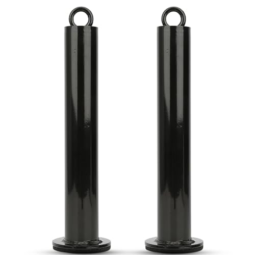 2 PCS Weight Loading Pin, Heavy Duty Gym Loading Pin Stainless Steel Fitness Equipment Weight Barbell Support Frame for Muscle Strength Training - size: 48 diameter * 320 mm