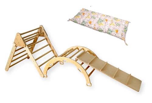 Montessori Wooden Climbing Set for Kids | Montessori Climbing Triangle Climbing Dome Ramp and Pillow | Montessori Climbing Frame Set for Toddler | Montessori Playground | Kids Play Gym(Map) - style: Map