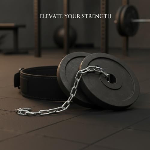 Fits Standard Weight Plates: Iron Chain Weighted Dip Belt for Pull-Ups, Dips, and Strength Training