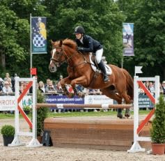 ArenaGear Sports Timer (Equestrian Two Gates) - size: Equestrian two gates