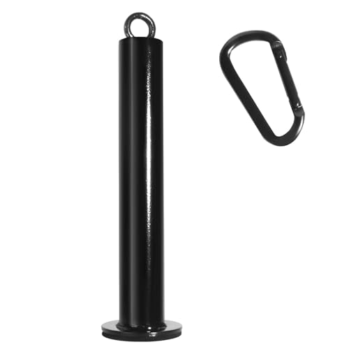 Loading Pin for Weight Plates, 2 Inch Olympic Weight Plate Compatible Weight Loading Pin with Carabiner for Cable Pulley LAT Pulldown System