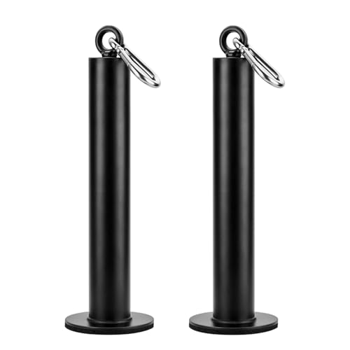 2 Pcs Weight Loading Pin 2 inch,Olympic Weight Plate Loading Pin for Cable Pulley System LAT Pulldown,Heavy Duty Gym Equipment Weights Lifting Pin with Carabiner