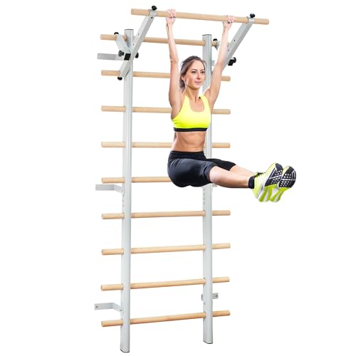 Stall Bars, Swedish Ladder for Adult and Kids, Wall Bar with Solid Beech Wood Rods, Durable Steel Frame, Adjustable Pull Up and Dip for Strength, Flexibility at Home Gym, Studio - color: Silver-gray