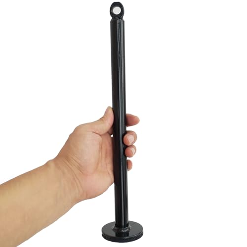 hejhncii Weight Plate Loading Pin, Steel Weight Lifting Holder Stand Dumbbell Rack Pulley Cable Machine Pull Down Attachments Freeweight Rod Loading Pin - color: 20 diameter x 220 mm
