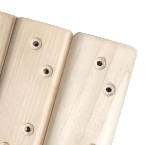 Menolana 3Pcs Climbing Rock Training Lightweight Professional Sturdy Rock Climbing Holds for Backpacking Bouldering