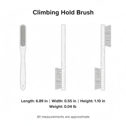 Climbing Hold Brush with Boar Bristles and Beech Wood Handle for Gym and Outdoor Use (1 PC)