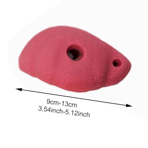 10 Pieces Rock Climbing Wall Holds Indoor Outdoor Climbing Grips Resin Material Easy Installation Textured Surface Suitable for Playground Home, withoutBackNailScrew