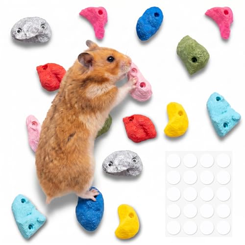 16 PCS Hamster Climbing Wall Toys, 8 Assorted Shapes & Colors Smooth Bite Resistant Climbing Holds, Traceless Adhesive Small Animal Cage Enrichment for Syrian Dwarf Hamsters, Gerbils & Mice