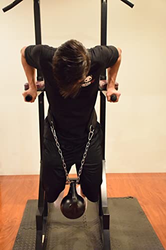 PandaFit Dip Belt for Weightlifting Padded with Steel Chain