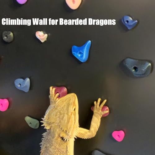 24Pcs Rock Climbing Holds for Bearded Dragons,Reptiles Toy Rock Wall Holds,6 Multi-Size Climbing Rock Wall Grips for Bearded Dragons Tank Accessories