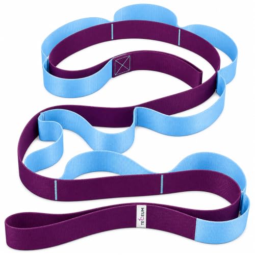 TECEUM Stretching Strap with 10 Loops for Physical Therapy & Rehab | Non-Elastic Yoga Stretch Band for Hamstring, Leg, Hip & Knee Rehab, Pilates, Flexibility & Mobility Exercises for Men & Women - color: Purple Blue, size: Polypropylene 1” W - 10 Loops