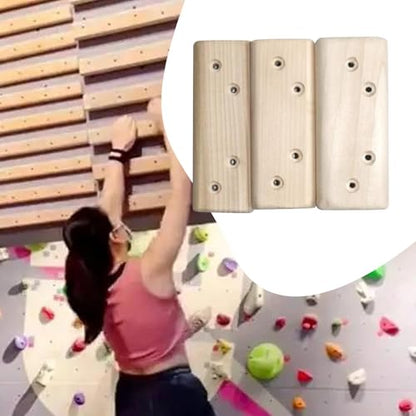 Menolana 3Pcs Climbing Rock Training Lightweight Professional Sturdy Rock Climbing Holds for Backpacking Bouldering
