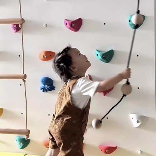 5-Pack Rock Climbing Holds for Kids Playground, Professional Rock Climbing Hand Hold, Indoor Outdoor DIY Climbing Wall Grip, Random Color Style(Size:5pcs-Plank Installation) - size: 5pcs-Plank installation