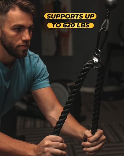 Carabiner Clip 5 PCS - Black Heavy Duty Carabiner Clip - Large Carabiner Clips - Snap Hooks - Perfect for Weight Lifting, Keychain, Dog Leashes & Gym - style: 4 Inch